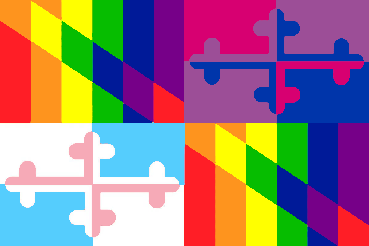 Maryland flag of bi and trans pride